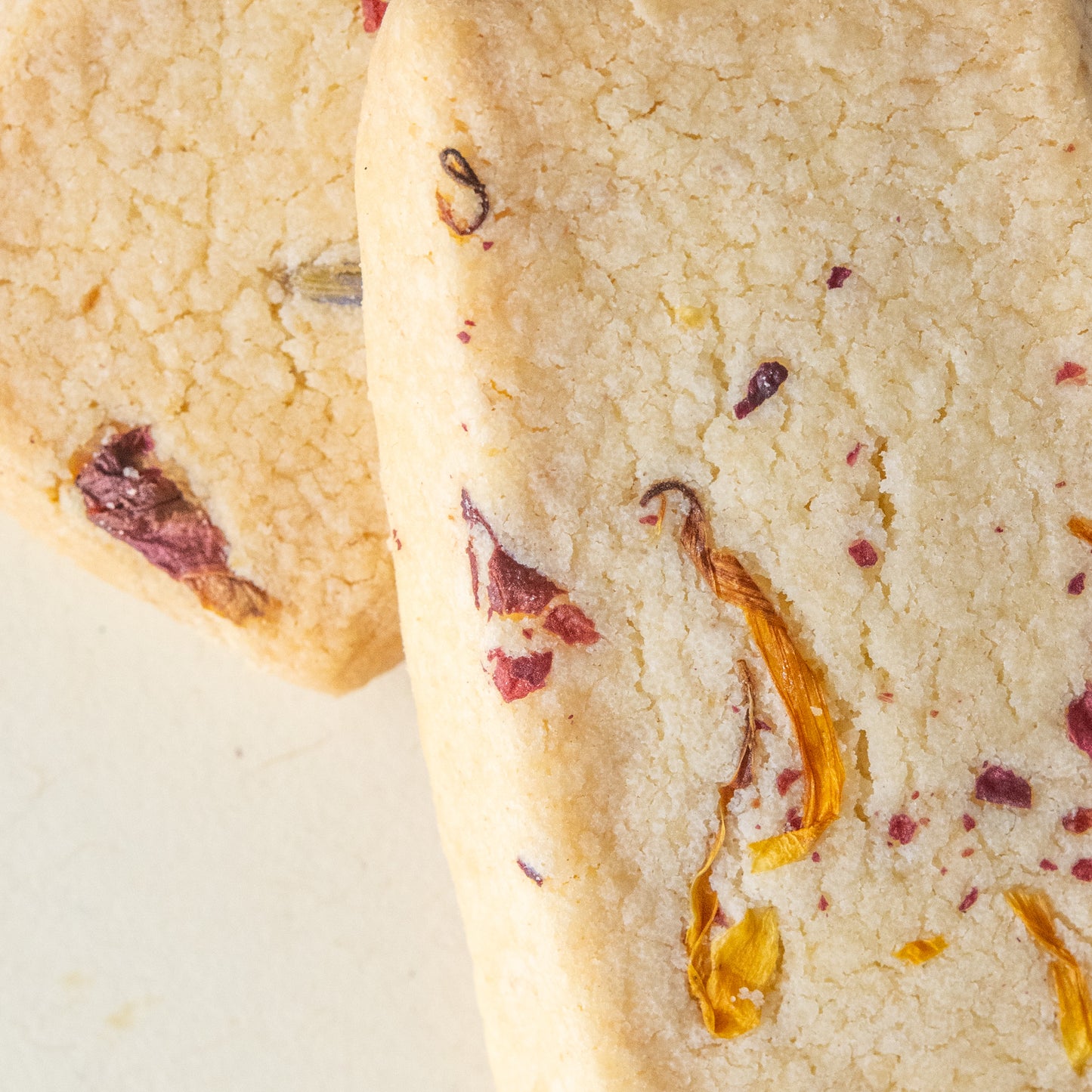 Shortbread Bar - Savory Herb